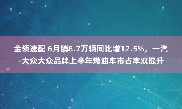 金领速配 6月销8.7万辆同比增12.5%，一汽-大众大众品牌上半年燃油车市占率双提升